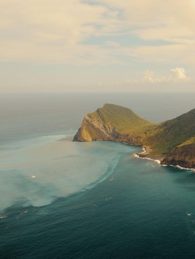 賞鯨登島半日遊